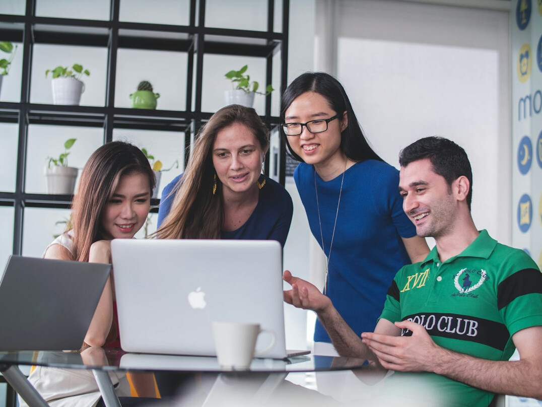 insurance programming team